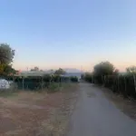 Loga Paralia Dikella Evros Holiday home Mesimvria (Evros)